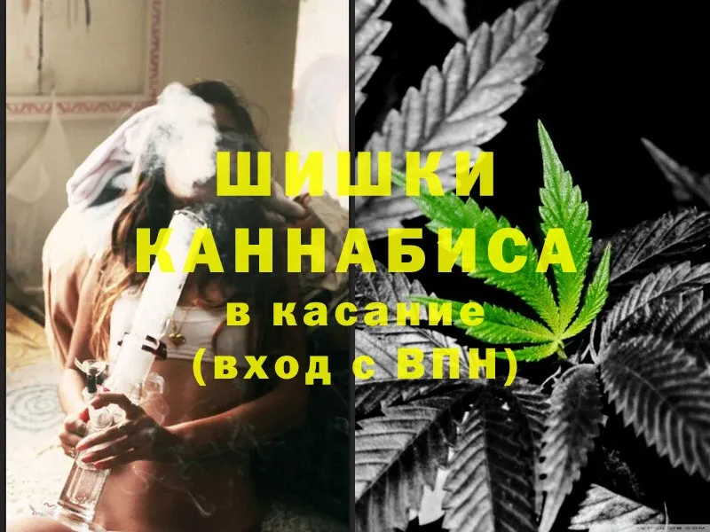 Бошки марихуана OG Kush  Татарск 